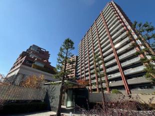 �p�[�N�X�N�G�A�k���