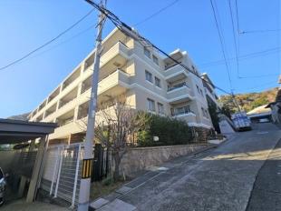 ���R�[���J��̉��ʃU�E���W�f���X