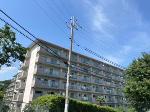 �p���c�B�[�i�Z�V���A���b�z��