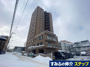 �X�e�C�c����