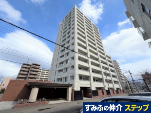 �V�e�B�n�E�X���Z������