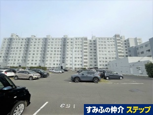 �T�[���V�����ۂ�`��