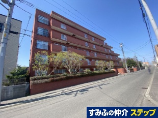 ���C�I���Y�}���V�����{�̐X