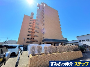 �_�C�A�p���X�k�~�R��Q