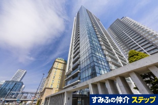 �V�e�B�^���[�D�y