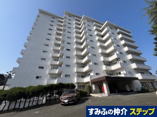 �É͕��u��}���V����