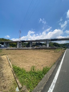 呺sAyn