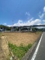 呺sAyn