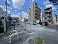 扡쒬yn