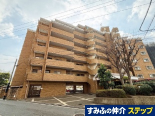 �A�N�V�X����