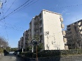 ZcnR