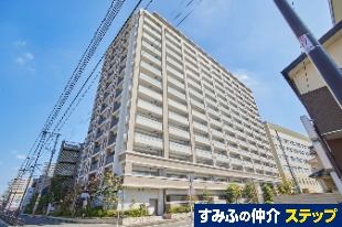 v~Xg瑁
