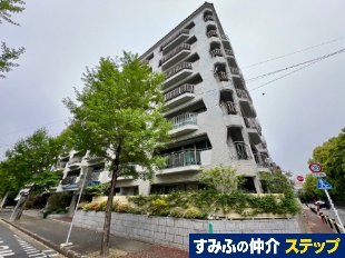 半p[Vg[