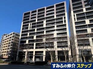 ���W�A�X�勴�f���N�X