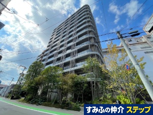 ���C�I���Y�~���X���V