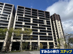 ���W�A�X�勴