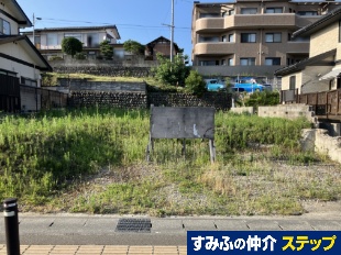 掵kcyn