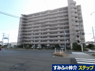 ���C�I���Y�}���V������ѓ�