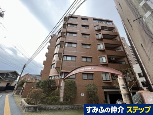 ���C�I���Y�}���V�����x�q