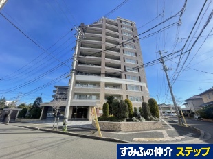 �V�e�B�n�E�X�����V�s�S���E�T���N�R�[�g