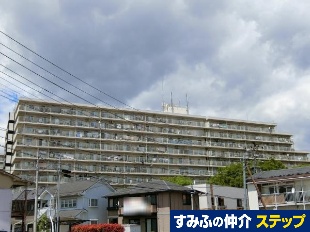 TnCcb