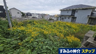 搼̕Qړyn