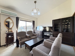 �p�V�t�B�b�N���̋u