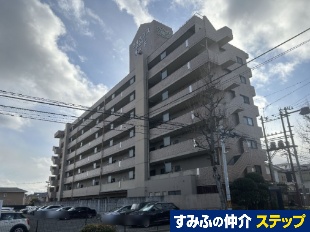 ���C�I���Y�}���V�����؃m��