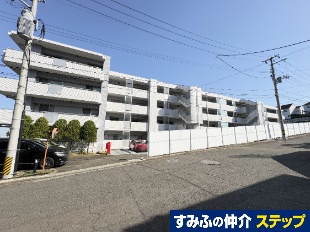 �Z���[�m���R