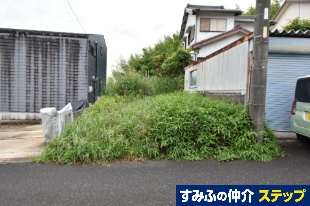 is蒬yn