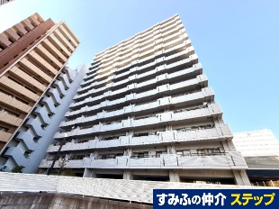 �T���p�[�N���x�w�O