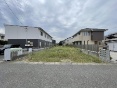 qs厚yn