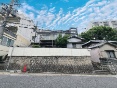 挎⒬꒚ړyn
