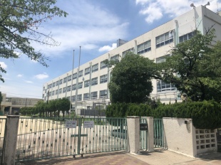 R쓌Ryn