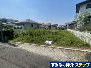 挎PuRړyn