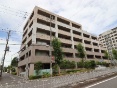 p[Nz[YP