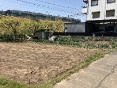 sk쒬Rȓyn