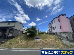mSY厚Εlyn