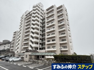 �����p�[�N�q���Y��Ԋ�