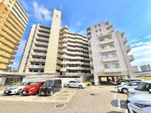 �_�C�A�p���X���{