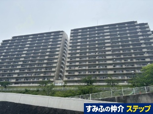 p[NqYQԊ