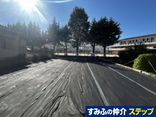 挴Pړyn