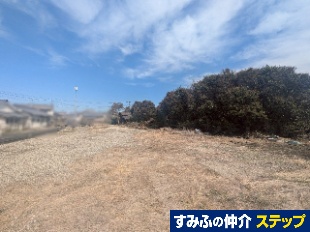 擌lynQM