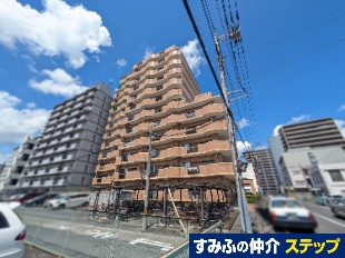 ���C�I���Y�}���V�����q�~