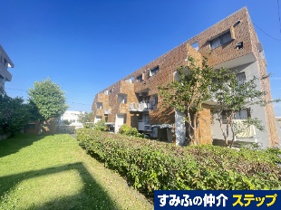 邪QZPR