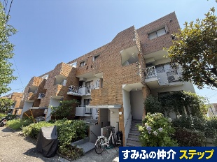 邪QZR