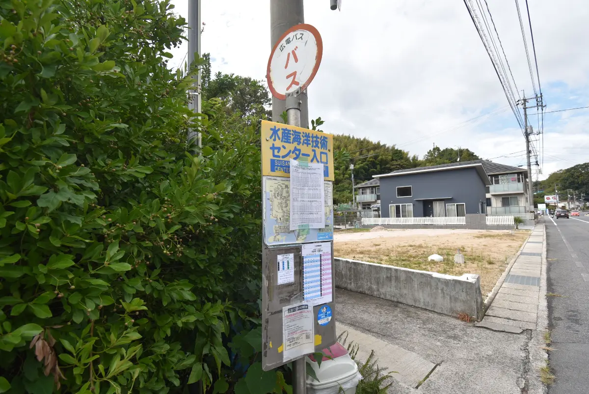 3 東和町誌（山口県）　8冊+1冊【送料込み】 商品 | お茶の三翆園／創業明治三十八年 肥後ひとよし