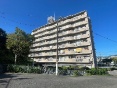 cp[Nz[Y