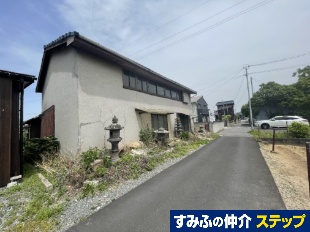 擌lyn