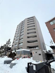 �p�V�t�B�b�N����